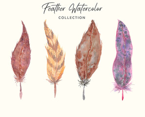 Boho beautiful feather watercolor collection