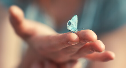 Butterfly sits on a woman hand. Blue, fragile butterfly wings on woman fingers create harmony of...