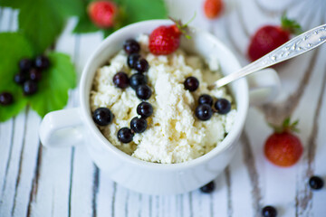 fresh homemade cottage cheese with summer berries