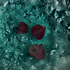 Fotograf&iacute;a creativa(1)