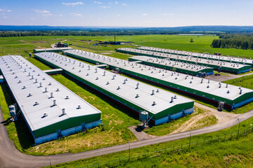 Pork farm in the countryside