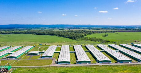 Pork farm in the countryside