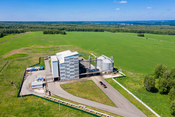 Obraz premium Pork farm in the countryside