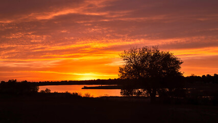 Fototapeta na wymiar Silhouette Tree as the sunrise or sunset reflects in the lake
