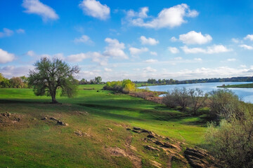 White puffy clouds over the green Colorado landscape