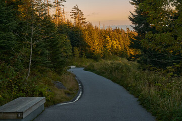 Obraz premium Foggy sunset through forest in Great Smoky Mountains 