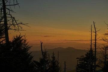 Foggy sunset through forest in Great Smoky Mountains
