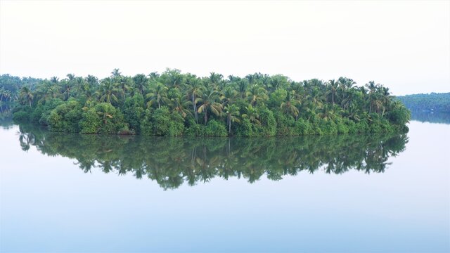 coconut tree Island in the river , Kerala, © chandrasekharan