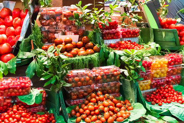 Organic tomatoes on the counter. Various tomatoes on market counter. Fresh organic cherry tomatoes.