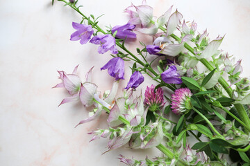 Naklejka na ściany i meble postcard mockup. bouquet of purple wildflowers on a white background. space for text. congratulation. invitation