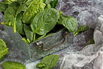 Fresh bright green young spinach leaves lie in a metal box on an old concrete table. Healthy food....