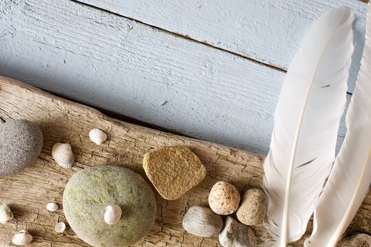Beautiful flat lay image with sea shells and rocks on rustic wood background. Copy space.