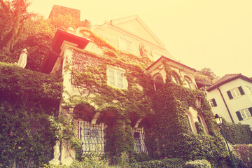 facade of a large old ivy-covered house.