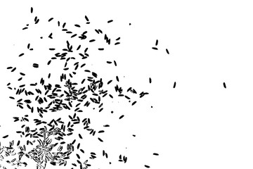 Concept of simple rice grain random thrown pattern on background from top view. Traditional wealth and happiness symbol illustration. Vector.