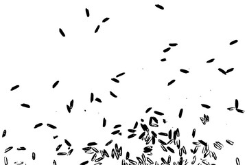 Raw white rice explosion. Thrown rice seeds on white background. Silhouette of flakes, spread on the flat surface or table. Top view. Vector.