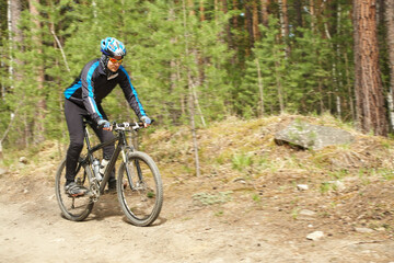 Naklejka premium cyclist riding a mountain bike along the forest road.