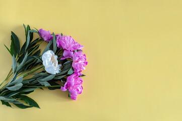 op view pink peonies, many flowers on a yellow background, flat lay, copying space