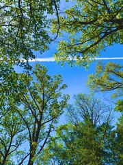 Himmelblick