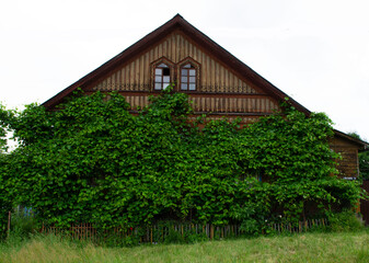 Obraz premium house