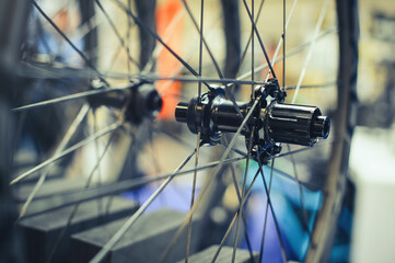 bicycle wheel. sale of spare parts and service