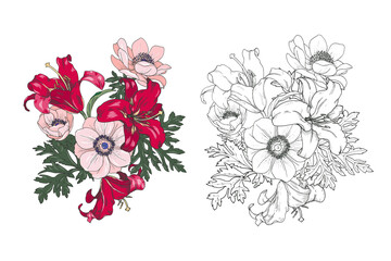 Lilies and anemones in color and black and white, garden flower arrangements, set, vector illustration