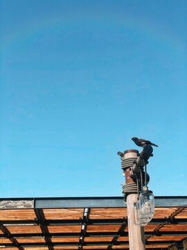 man on the roof