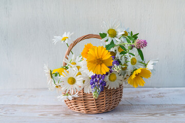Summer greeting card, Bouquet of white and yelllow daisises in wicker baskte on white paint background