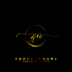 ZN Initial handwriting logo vector	
