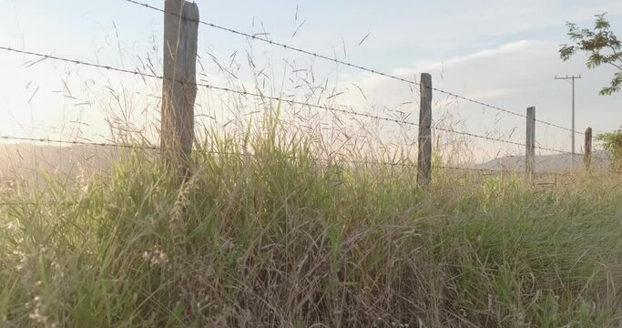 Barbed wire fence and grass field. 4K.
