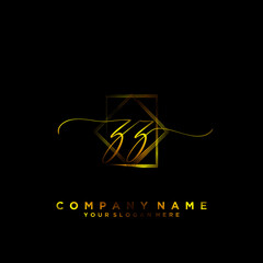 ZZ Initial handwriting logo vector	
