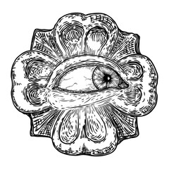 Fototapeta premium All seeing eye symbol element variation. Alchemy, religion, spirituality and occultism tattoo ink art. Vision of providence and conspiracy theory. Hand drawing in flash tattoo style artwork. Vector.
