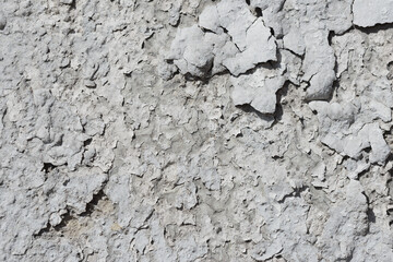 Wall plaster- abstract texture