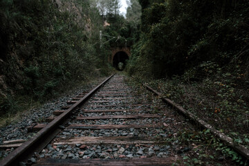 Rail road tracks. Track with rails for train in forest with green meadow on horizon. 