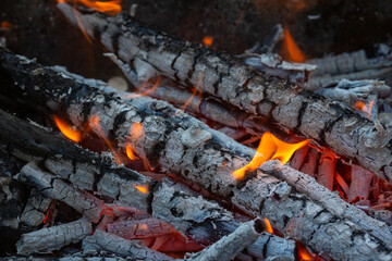 Flames crawl up the side of a piece of firewood in an open campfire.