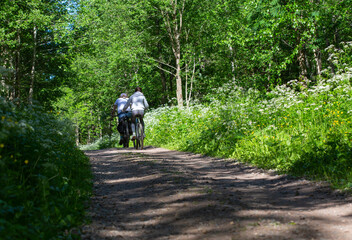 Obraz premium Two people ride bicycles along the road in the forest, in a natural park.