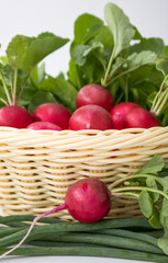 Ripe radish in a basket.