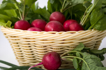Ripe radish in a basket. Radish with leaves.