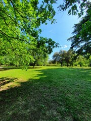 A dazzling green square