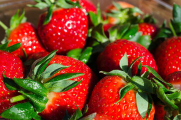fresh strawberries in a bowl