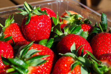 fresh strawberries in a bowl