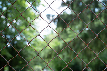 concept for being locked up, corona quarantine, rusty wire mesh fence with green in the background,...