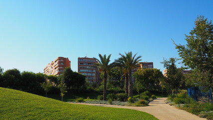 Fototapeta premium Plantas y flores en el Parque del Mar de Alicante