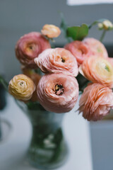 A tender beautiful bouquet of ranunculus staying at home as a decor - obrazy, fototapety, plakaty
