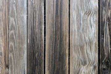 The old wood texture with natural patterns