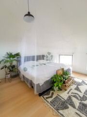 Minimalist bright white bedroom flooded in natural light and some green plants