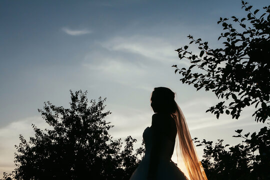 Silhouette of a bride among the Cretaceous with a veil against the blue evening sky