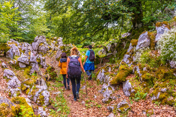 Mount Aizkorri 1523 meters, the highest in Guipuzcoa. Basque Country. Ascent through San Adrian and return through the Oltza fields. Three young friends walking among the flora on Mount Aizkorri