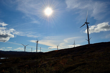 windmill farm on mountain top in autumn sun
