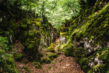 Mount Aizkorri 1523 meters, the highest in Guipuzcoa. Basque Country. Ascent through San Adrian and return through the Oltza fields. Very green and magical places in the forest of Mount Aizkorri