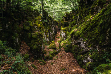 Obraz premium Mount Aizkorri 1523 meters, the highest in Guipuzcoa. Basque Country. Ascent through San Adrian and return through the Oltza fields. Magical sites in the forest of Mount Aizkorri